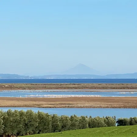 Olymp Villa Nea Poteidaia