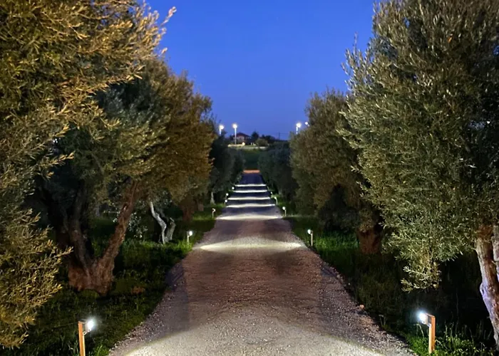 Olymp Villa *
